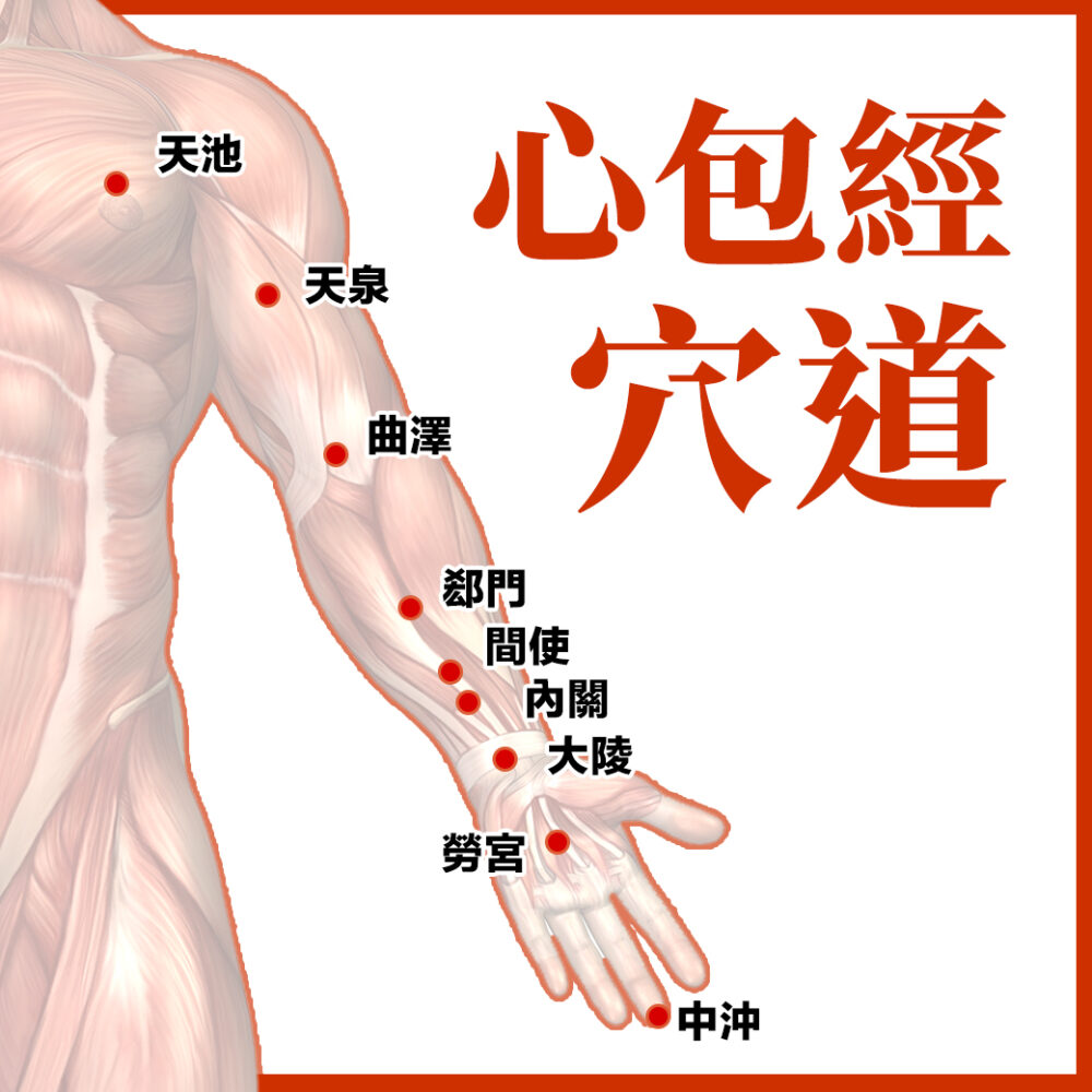 心包經怎麼按最有效?中醫師詳細解析心包經位置、按摩方法與功效