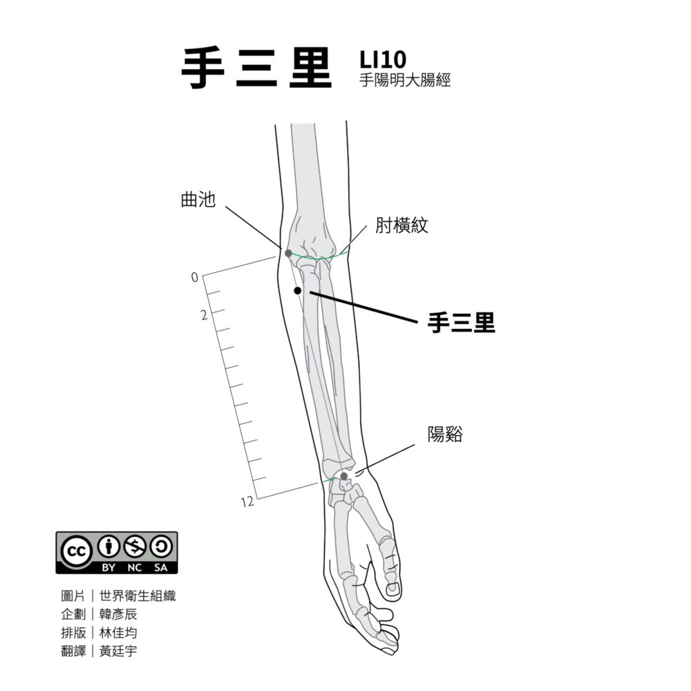 網球肘怎麼按最有效?曲池穴、手三里穴、臂臑穴有效舒緩手肘外側痠痛與發炎