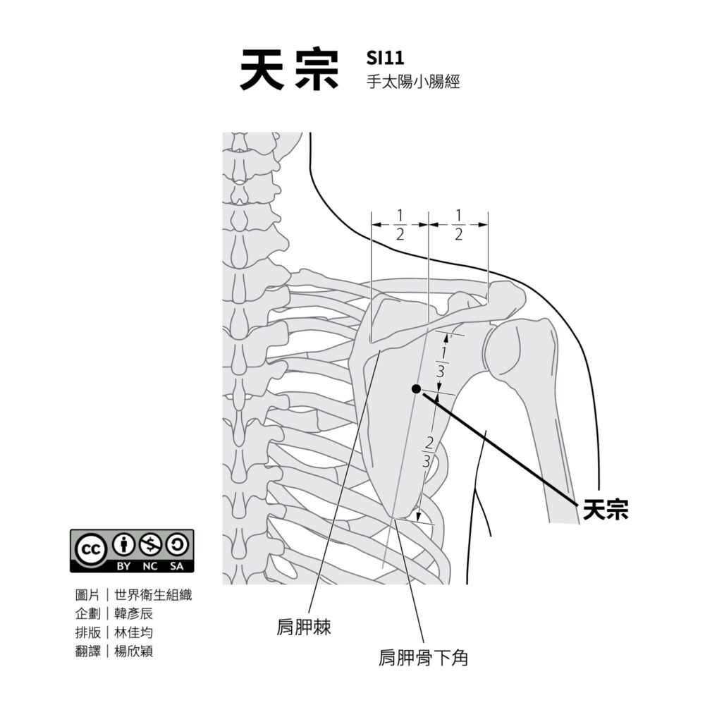 舒緩富貴包必按的3個穴位!大椎穴、天宗穴、風池穴,有效改善後頸腫硬與上背僵硬